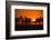 Plains Zebra, Makgadikgadi Pans National Park, Botswana-Paul Souders-Framed Photographic Print