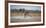 Plains Zebras, Equus Quagga, Fighting, with an Elephant in the Background-Alex Saberi-Framed Photographic Print