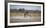 Plains Zebras, Equus Quagga, Fighting, with an Elephant in the Background-Alex Saberi-Framed Photographic Print