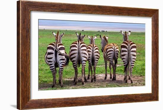 Plains Zebras, Tanzania-Art Wolfe-Framed Giclee Print