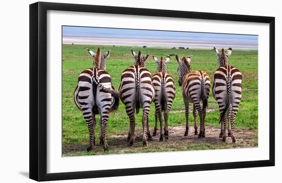 Plains Zebras, Tanzania-Art Wolfe-Framed Giclee Print