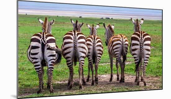 Plains Zebras, Tanzania-Art Wolfe-Mounted Giclee Print