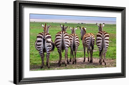 Plains Zebras, Tanzania-Art Wolfe-Framed Giclee Print