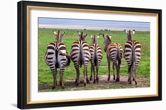 Plains Zebras, Tanzania-Art Wolfe-Framed Giclee Print