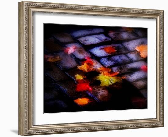 Plajo-Sharon Wish-Framed Photographic Print