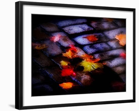 Plajo-Sharon Wish-Framed Photographic Print