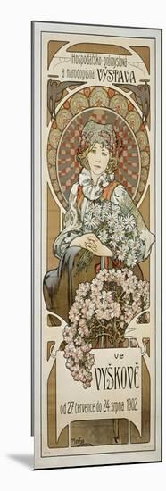 Plakat Vystava Ve Vyskové (Ausstellung in Vyskov), 1902-Alphonse Mucha-Mounted Giclee Print