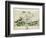 Plan of Events at the Battle of Gunzburg Between Austrian and French Troops in 1805, 1808-null-Framed Giclee Print