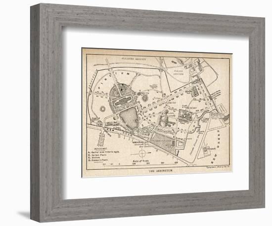 Plan of the Botanical Gardens-null-Framed Photographic Print