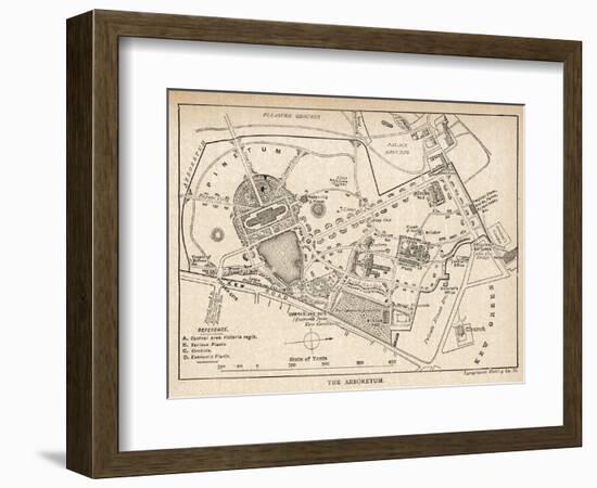 Plan of the Botanical Gardens-null-Framed Photographic Print