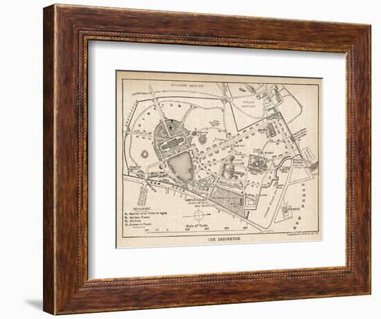 Plan of the Botanical Gardens-null-Framed Photographic Print