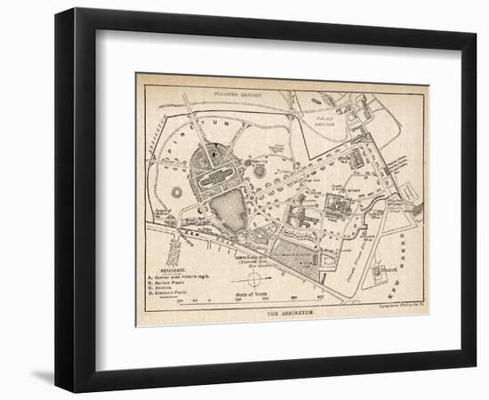 Plan of the Botanical Gardens-null-Framed Photographic Print