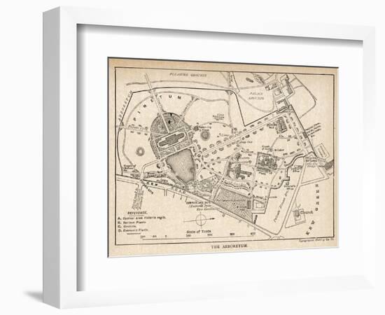 Plan of the Botanical Gardens-null-Framed Photographic Print