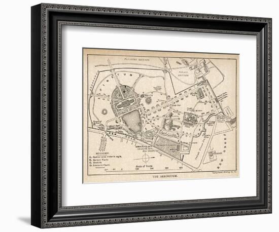 Plan of the Botanical Gardens-null-Framed Photographic Print