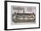 Plan of the Circus Maximus Engraving-Nicolas Beautrizet-Framed Giclee Print