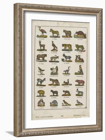 Planche animalière-null-Framed Giclee Print