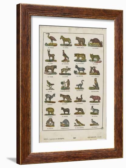 Planche animalière-null-Framed Giclee Print