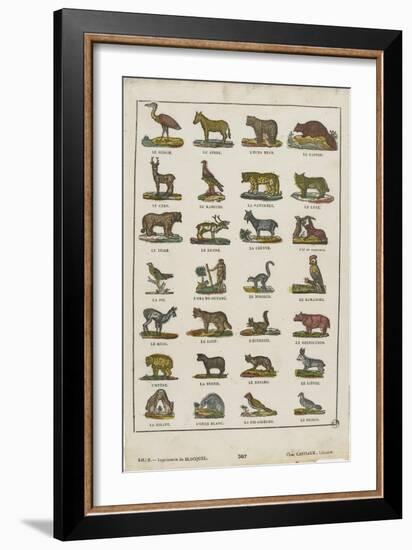 Planche animalière-null-Framed Giclee Print