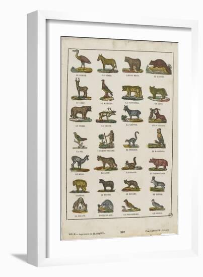 Planche animalière-null-Framed Giclee Print