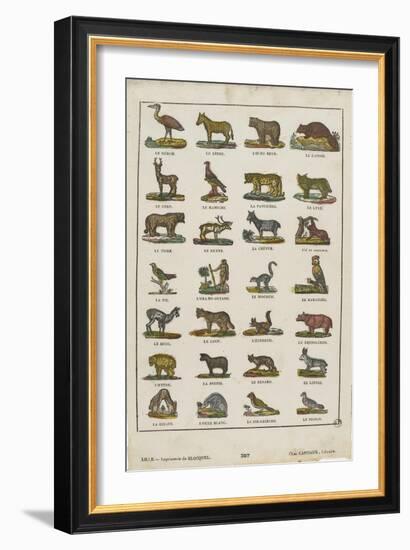 Planche animalière-null-Framed Giclee Print