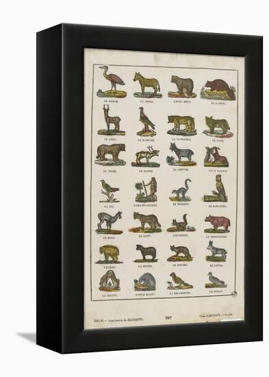 Planche animalière-null-Framed Premier Image Canvas