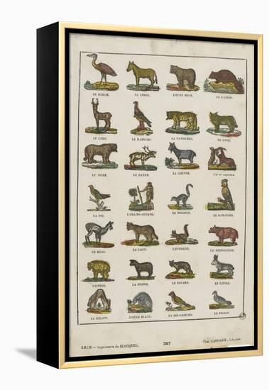 Planche animalière-null-Framed Premier Image Canvas