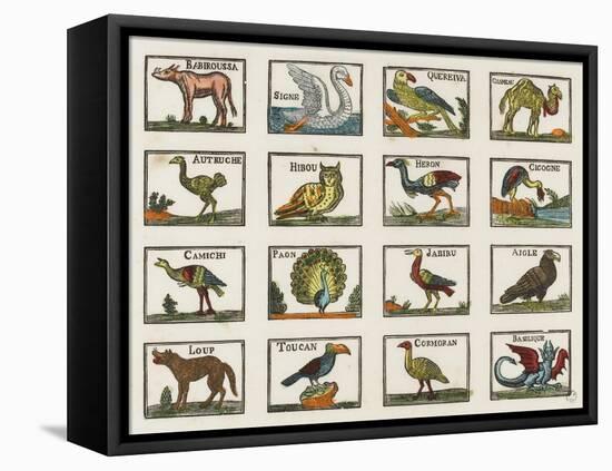 Planche d'animaux-null-Framed Premier Image Canvas