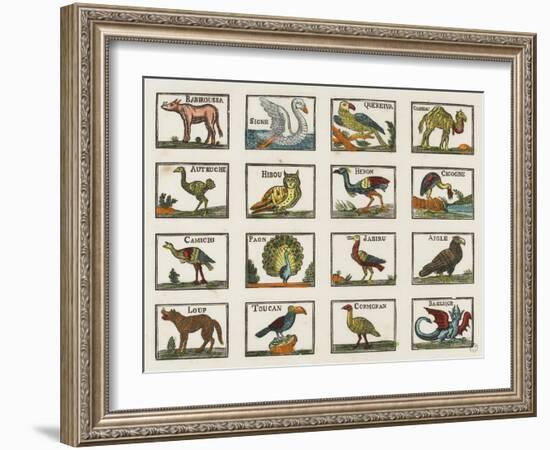 Planche d'animaux-null-Framed Giclee Print