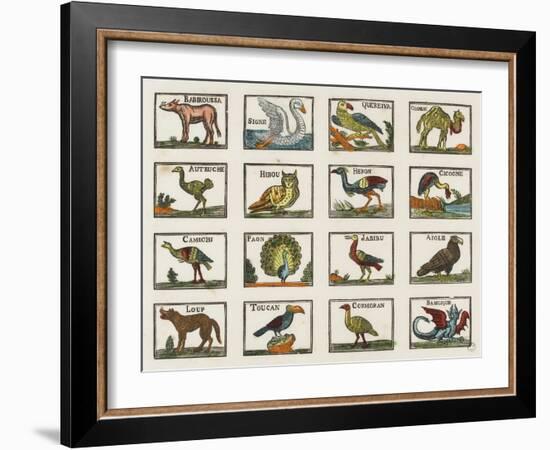 Planche d'animaux-null-Framed Giclee Print