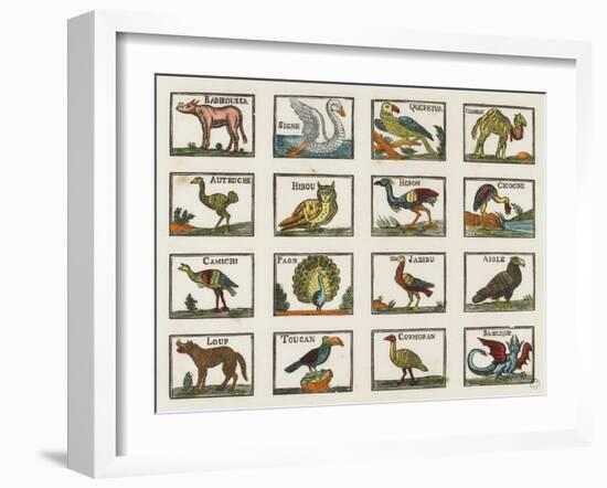 Planche d'animaux-null-Framed Giclee Print