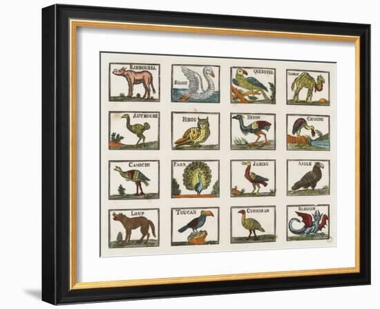 Planche d'animaux-null-Framed Giclee Print