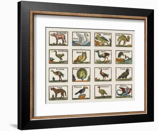 Planche d'animaux-null-Framed Giclee Print