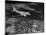 Plane Flying over a City from a Story Concerning United Airlines-Carl Mydans-Mounted Photographic Print