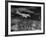 Plane Flying over a City from a Story Concerning United Airlines-Carl Mydans-Framed Photographic Print