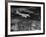 Plane Flying over a City from a Story Concerning United Airlines-Carl Mydans-Framed Photographic Print