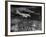 Plane Flying over a City from a Story Concerning United Airlines-Carl Mydans-Framed Photographic Print