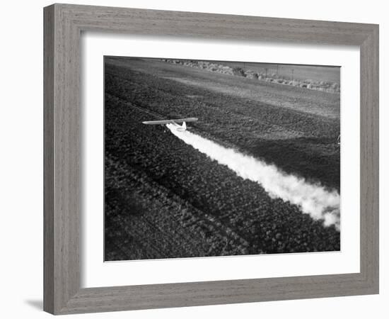 Plane Spraying Alfalfa Fields in Imperial Valley with Ddt-Loomis Dean-Framed Photographic Print