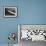 Plane Spraying Alfalfa Fields in Imperial Valley with Ddt-Loomis Dean-Framed Photographic Print displayed on a wall