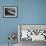 Plane Spraying Alfalfa Fields in Imperial Valley with Ddt-Loomis Dean-Framed Photographic Print displayed on a wall