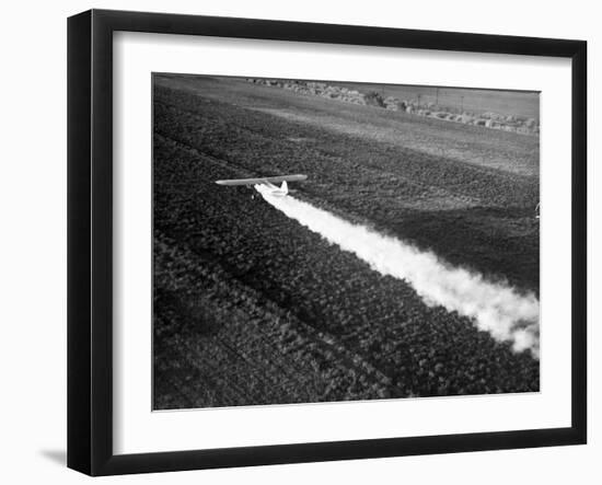 Plane Spraying Alfalfa Fields in Imperial Valley with Ddt-Loomis Dean-Framed Photographic Print