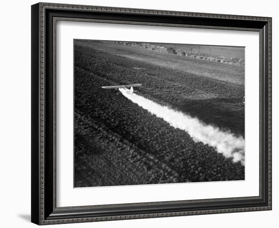 Plane Spraying Alfalfa Fields in Imperial Valley with Ddt-Loomis Dean-Framed Photographic Print