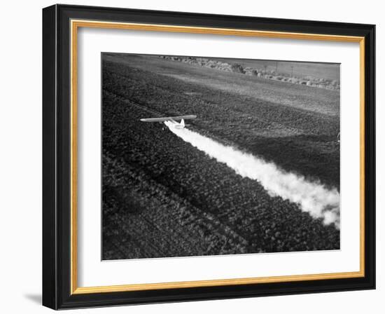 Plane Spraying Alfalfa Fields in Imperial Valley with Ddt-Loomis Dean-Framed Photographic Print