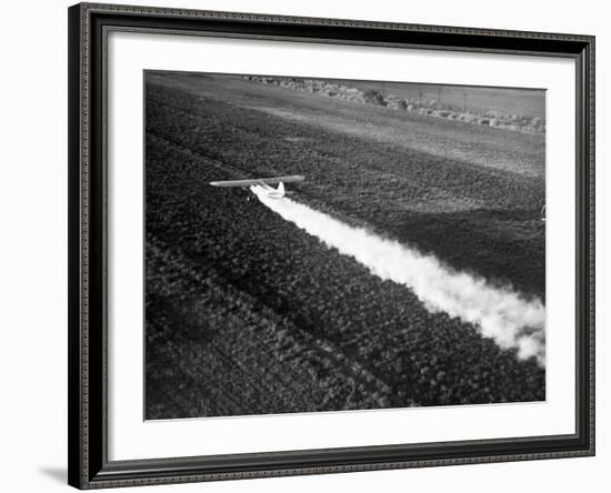 Plane Spraying Alfalfa Fields in Imperial Valley with Ddt-Loomis Dean-Framed Photographic Print