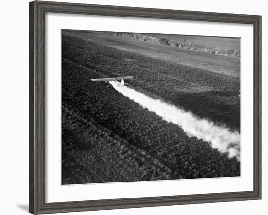 Plane Spraying Alfalfa Fields in Imperial Valley with Ddt-Loomis Dean-Framed Photographic Print