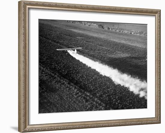 Plane Spraying Alfalfa Fields in Imperial Valley with Ddt-Loomis Dean-Framed Photographic Print