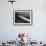 Plane Spraying Alfalfa Fields in Imperial Valley with Ddt-Loomis Dean-Framed Photographic Print displayed on a wall