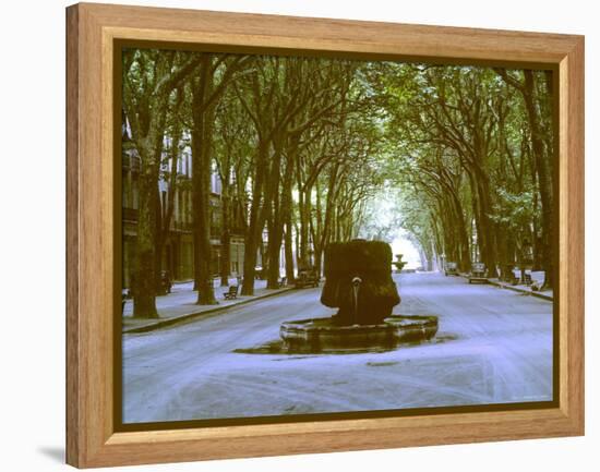 Plane Trees Shade Wide Boulevard of Cours Mirabeau in Aix En Provence-Gjon Mili-Framed Premier Image Canvas