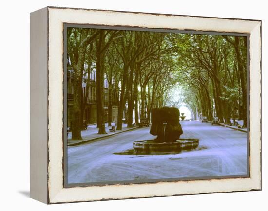 Plane Trees Shade Wide Boulevard of Cours Mirabeau in Aix En Provence-Gjon Mili-Framed Premier Image Canvas