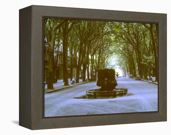 Plane Trees Shade Wide Boulevard of Cours Mirabeau in Aix En Provence-Gjon Mili-Framed Premier Image Canvas