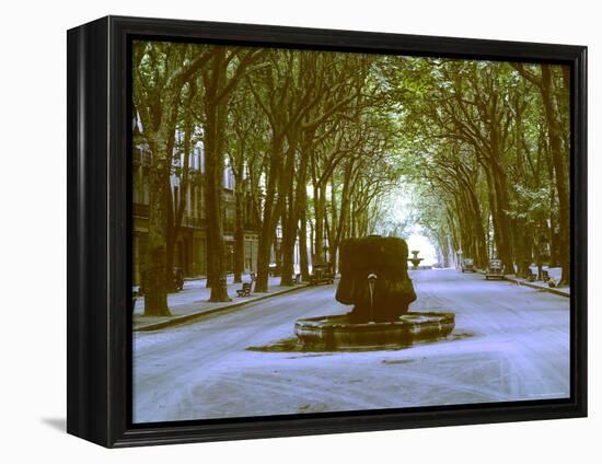 Plane Trees Shade Wide Boulevard of Cours Mirabeau in Aix En Provence-Gjon Mili-Framed Premier Image Canvas